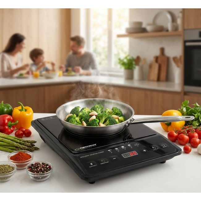 Esperanza EKH011 Black induction cooker