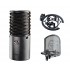 Aston Micro. Origin Condenser Mic + mount + pop fi