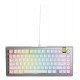 Glorious Gaming GMMK 3 PRO HE 75% Prebuilt Wired Silver - US