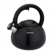 Non-Electric Kettle TEFAL N4180410, Black, Matte
