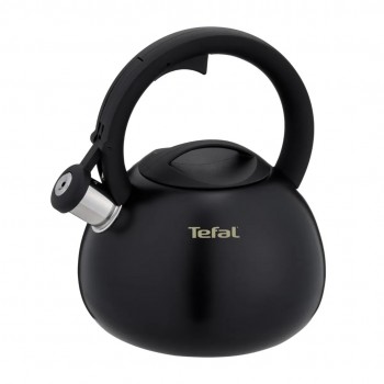 Non-Electric Kettle TEFAL N4180410, Black, Matte