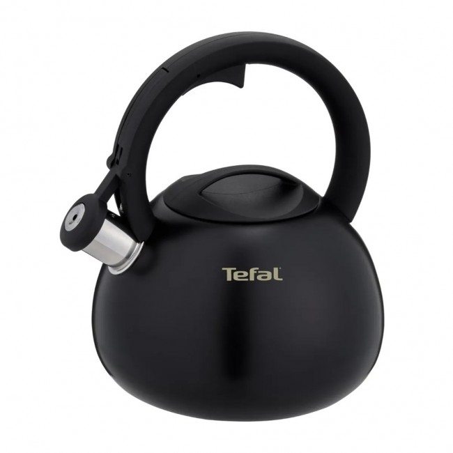 Non-Electric Kettle TEFAL N4180410, Black, Matte