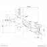 Neomounts WL70-550BL12 Monitor/TV mount wall 23-42