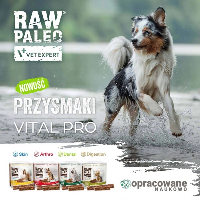 VETEXPERT Raw Paleo Vital Pro Dental Duck Mini Mono - dog treat - 100g