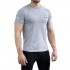 T-Shirt Delta Grey r. XL
