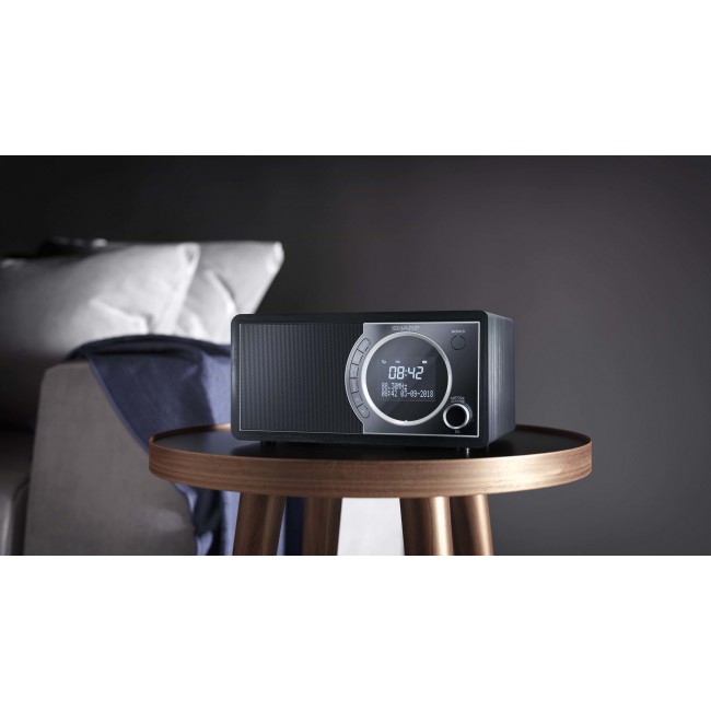 Sharp DR-450 Personal Digital Black, Stainless steel