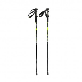 Kijki trekkingowe CMP Bern Trekking Poles zielono-czarne 3B36297 U911