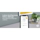 HP LaserJet MFP M234dw Printer, Black and white, Printer for Small office, Print, copy, scan, Scan to email Scan to PDF HP LaserJet MFP M234dw Printer, Black and white, Printer for Small office, Print, copy, scan, Scan to email Scan to PDF