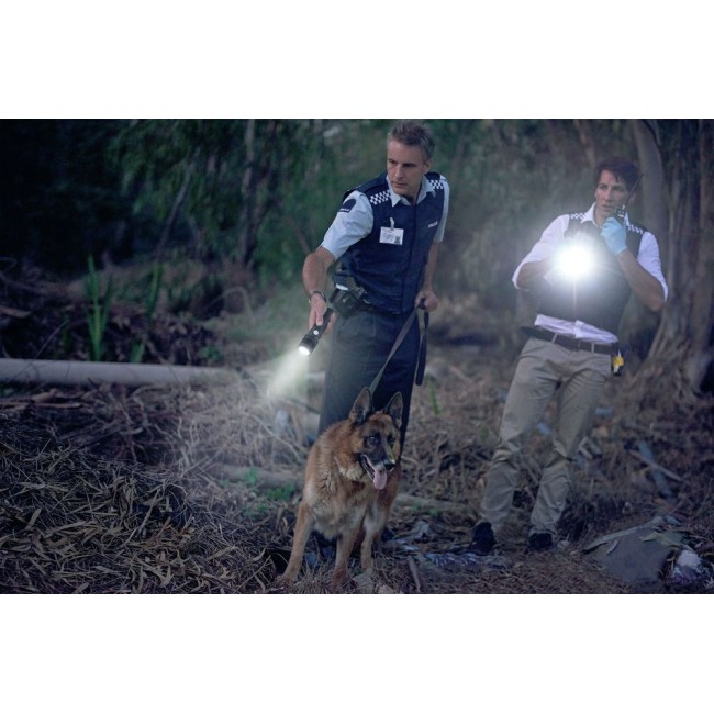 Ansmann Pro 3000R Black Hand flashlight LED