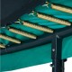 Salta First Class - 366 cm recreational/backyard trampoline Salta First Class - 366 cm recreational/backyard trampoline