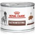 ROYAL CANIN VHN Gastrointestinal Loaf - wet food for dogs - 200g