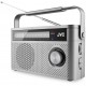 JVC RA-E315G Portable radio Grey