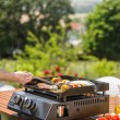 Black+Decker BXOP4900E 2-burner gas barbecue