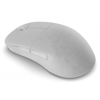 Endgame Gear XM2w 4k v2 Wireless Gaming Mouse - White Frost