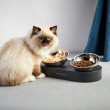 PETKIT PK-F4 Universal Pet combination feeder & waterer