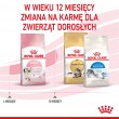 Royal Canin Kitten cats dry food 10 kg