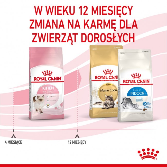 Royal Canin Kitten cats dry food 10 kg Royal Canin Kitten cats dry food 10 kg