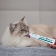 VETEXPERT TrichoCat - anti-hairball paste for cats - 120 g