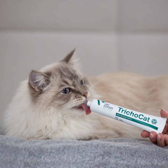 VETEXPERT TrichoCat - anti-hairball paste for cats - 120 g