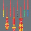 Wera 05006611001 manual screwdriver Set