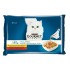 Purina GRMT PERLE GIGMV BEEF CRT cats moist food 85 g