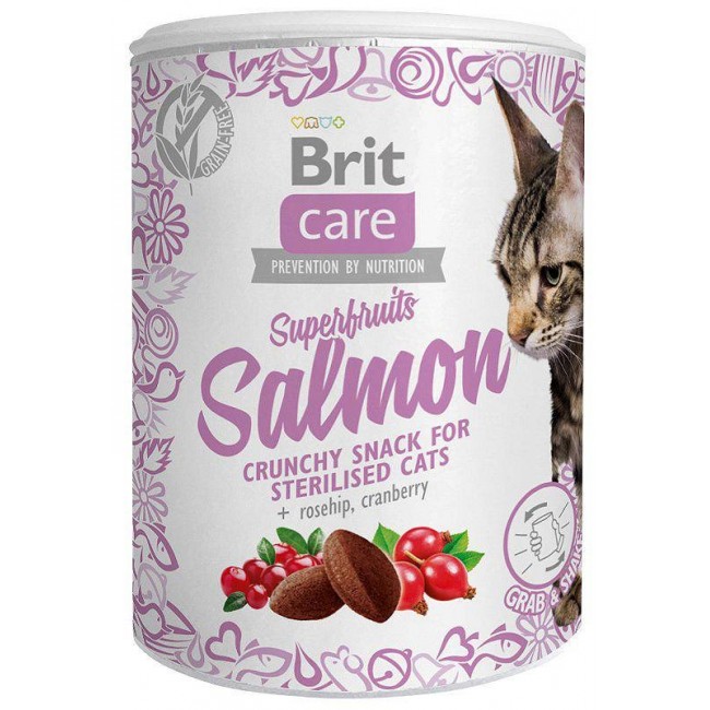 BRIT Care Superfruits Salmon - cat treats - 100 g