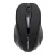 Esperanza EM101K mouse Ambidextrous RF Wireless Optical 1000 DPI Esperanza EM101K mouse Ambidextrous RF Wireless Optical 1000 DPI