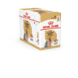 Royal Canin Yorkshire Terrier Adult 85 g Royal Canin Yorkshire Terrier Adult 85 g