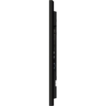 iiyama 43