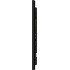 iiyama 43