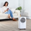 Taurus DH1201 2.5 L 43 dB 210 W Grey, White