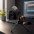 Esperanza EH182 Table microphone Black