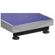 PLATFORM SCALE TARCZYN WT-123 300KG