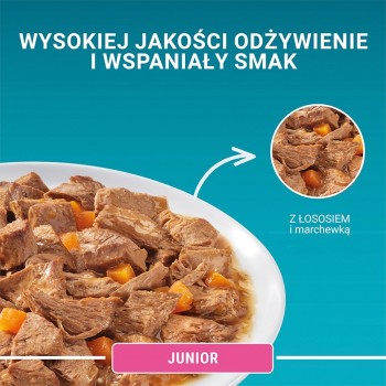 PURINA One Junior Salmon with carrot - wet cat food - 85g