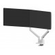 Neomounts DS70-250WH2 Monitor arm 17-32