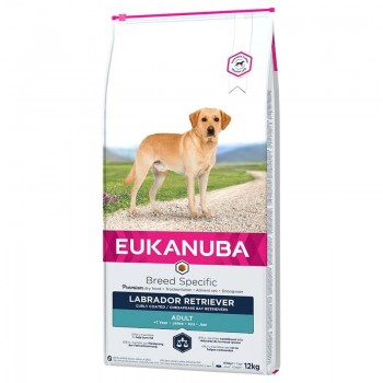 EUKANUBA Breed Specific Labrador Retriever Adult - dry dog food - 12kg