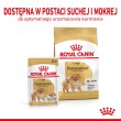 Royal Canin Pomeranian Adult - dry food for dogs - 3 kg
