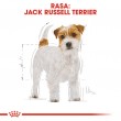 ROYAL CANIN Jack Russell Adult - Dry dog food - 7.5 kg ROYAL CANIN Jack Russell Adult - Dry dog food - 7.5 kg
