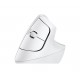 Logitech Lift Vertical Ergonomic Mouse for Business