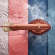 Philips GC213/50 iron Steam iron SteamGlide Plus soleplate 1800 W Brown