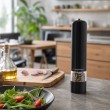 Esperanza EKP001K Black pepper mill