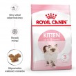 Royal Canin Kitten cats dry food 10 kg