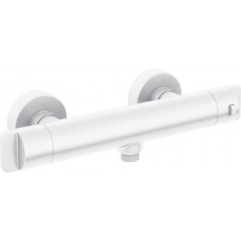 Thermostatic shower faucet
