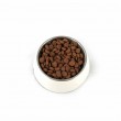 PUPIL Premium Junior Large and extra large breeds Rich in beef - dry dog food - 12kg
