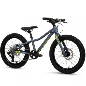 Huffy MTB Batch Alu 20 bike, chameleo (B374455W)