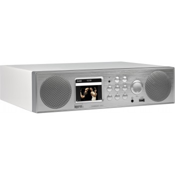 Telestar DABMAN i450 Portable Analog & digital Silver