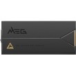 MSI MEG Ai1600T 1600W PCIE5 80+ Titanium power supply (306-7ZPEX11-CE0)