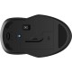 HP 250 Dual Mouse HP 250 Dual Mouse