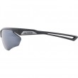 Alpina Nylos HR Sunglasses cat. 3 Grey