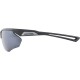 Alpina Nylos HR Sunglasses cat. 3 Grey Alpina Nylos HR Sunglasses cat. 3 Grey
